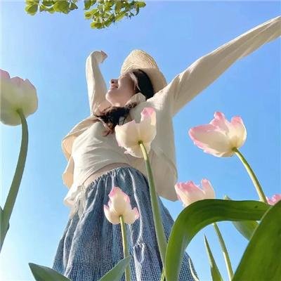 扭曲仙境